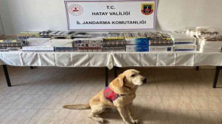 Hatayda 11 bin 140 paket kaçak sigara ele geçirildi