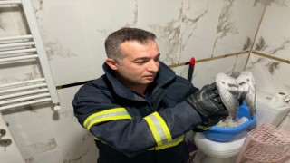 Havalandırma boşluğuna düşen güvercin kurtarıldı