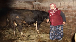 Hayvanlarını otlatan kadına şok sözler