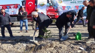 Hisarcıkta 300 fidan dikildi