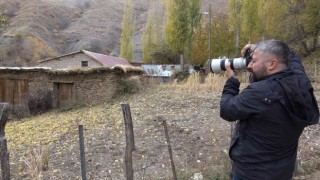 Hizanda sonbaharla gelen taş ev güzelliği