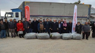 Hüyükte üreticilere 170 bin adet lavanda fidesi dağıtıldı