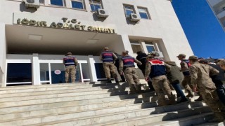 Iğdırda büyükbaş hayvan hırsızlığından 3 kişi tutuklandı