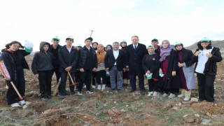 İlçenin ilk hatıra ormanı: 2 bin 500 fidan toprakla buluştu