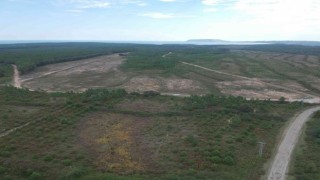 İleri: Sinop NGS konusunda planlama ve çalışma devam ediyor
