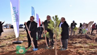 İnönüde 5 bin fidan toprakla buluştu