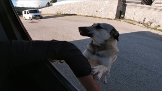 İnsanın içini ısıtan buluşma