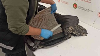 İstanbul Havalimanında keçeye emdirilmiş 3 kilo 680 gram morfin yakalandı
