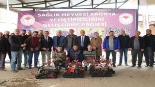İznikin bereketi, sağlık meyvesi aronya ile buluşuyor