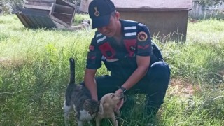 Jandarma can dostları unutmadı