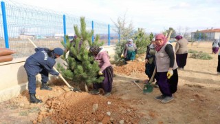 Jandarma karakol bahçesine ağaç dikti