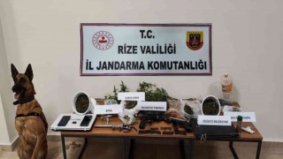 Jandarmadan uyuşturucu operasyonu: 1 tutuklama
