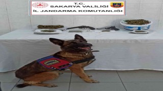 Jandarmadan uyuşturucu operasyonu: 2 gözaltı