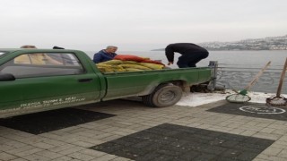 Kaçak midye avcılarına operasyon: Ele geçirilen midyeler denize bırakıldı