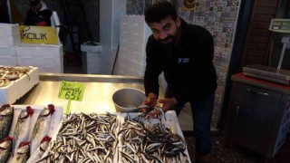 Karadeniz hamsisi tezgâhlarda yerini aldı