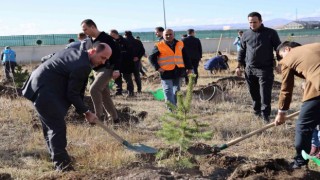 Kars Adliyesinde fidan dikimi yapıldı