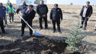 Karsta fidanlar toprakla buluştu