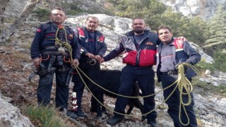 Kayalıklarda mahsur kalan 7 keçi kurtarıldı