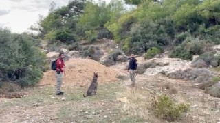 Kayıp Sedanur için özel eğitimli köpekler devrede