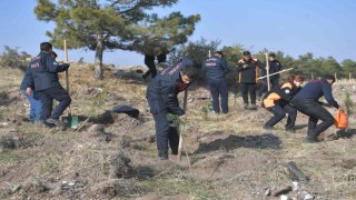 Kayseri Büyükşehir, 11.11de 5 bin fidan ile geleceğe nefes oldu