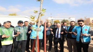 KAYÜ Develi Seyrani Kampüsünde Ağaçlandırma Çalışması Yapıldı