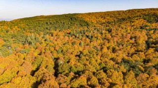 Kazdağlarının eşsiz sonbahar güzellikleri dron ile görüntülendi