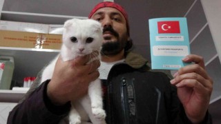 Kedi ve köpek sahipleri dikkat, yasal süre 31 Aralıkta doluyor