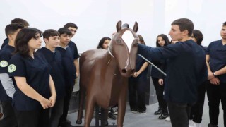 Konuşan maket at ve sığır ile hem eğleniyorlar hem öğreniyorlar