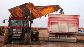 Konyada 1 milyon dekar alanda şeker pancarı hasadı devam ediyor