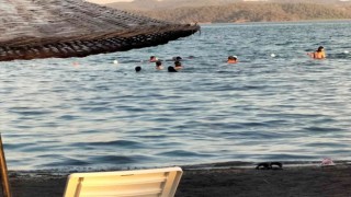 Köyceğizde Kasım ortasında sıcaklık 29 dereceyi gösterdi
