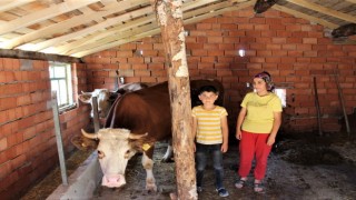 Kütahyada orman köylüsüne 14 milyon TL kredi desteği