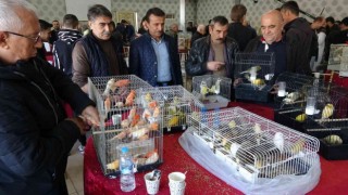 Kütahyadaki Kuş Borsasına ilgi
