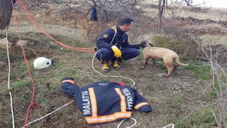 Kuyuya düşen köpek için zamanla yarıştılar