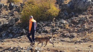 Licede dünden beri kayıp olan epilepsi hastası, 145 kişinin çalışmasıyla bulundu