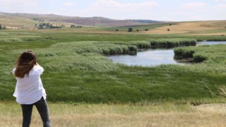 Mahkeme kararını verdi, Kaz Gölü kurtuldu