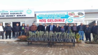 Manisada fidan destekleriyle üreticinin yüzünü gülüyor