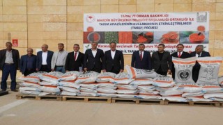 Mardinde 13 milyon liralık tohum projesi