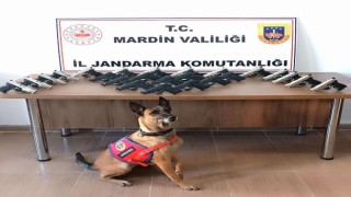 Mardinde araçtan 25 adet ruhsatsız silah çıktı