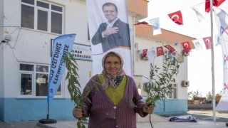 Mersin Büyükşehir Belediyesinden üreticiye fidan desteği sürüyor