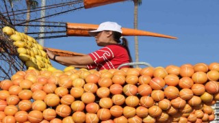 Mersin, Narenciye Festivaline hazırlanıyor