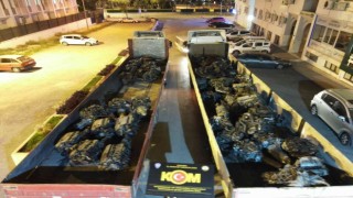 Mersinde yasa dışı yollardan ülkeye sokulan 53 adet araç motoru ele geçirildi