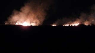 Milleyha Kuş Cennetinde yangın çıktı