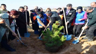 Milli Ağaçlandırma Gününde toprak fidanlarla buluştu