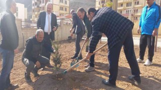 Milli Ağaçlandırma Gününde Yusufelinin yeni yerleşim yerinde de fidan dikildi