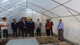 Milli Eğitim Müdürü Çay, Köyceğizde tarım uygulamalarına katıldı