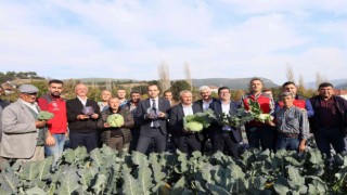 Muğlada kışlık sebze üretimi projesinde hasat zamanı