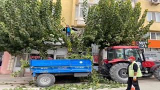 Mutta temizlik çalışmaları