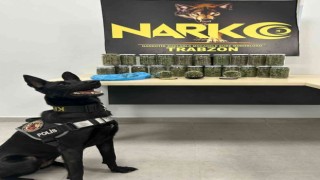 Narkotik köpeği İda iş başında