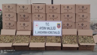 Nazillide 720 kilo kaçak tütün ele geçirildi