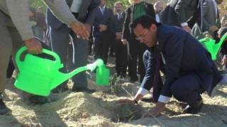 Nevşehirde 66 bin 660 lavanta toprakla buluştu